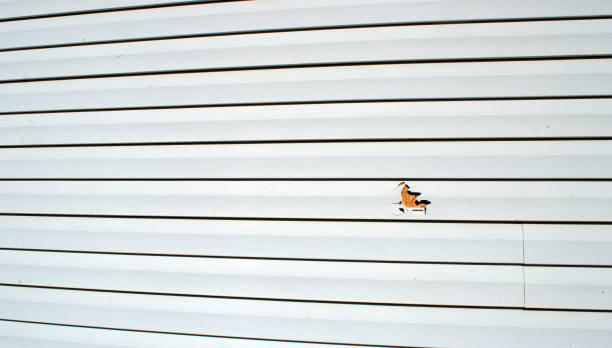 Best Storm Damage Siding Repair  in West Sacramento, CA